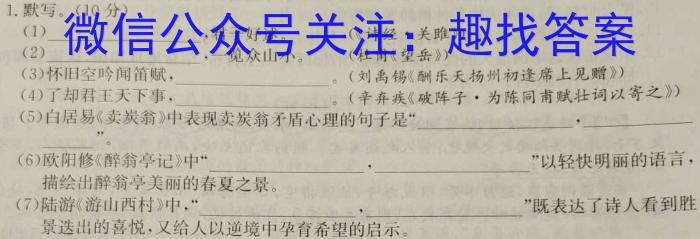 天一大联考2022-2023学年高二年级阶段性测试（四）语文