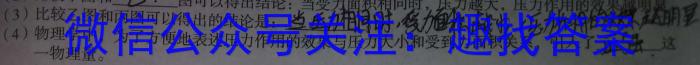 2023届陕西省高三5月联考(标识⬆)物理.