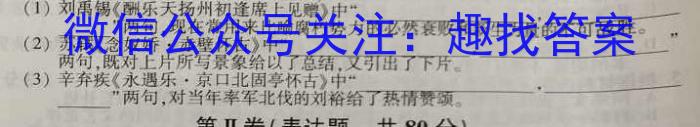 2023届青海高三考试5月联考(标识※)语文