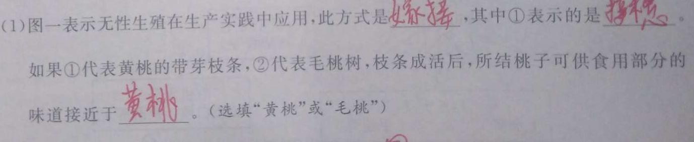 山西省2022-2023学年七年级下学期期中综合评估（23-CZ190a）生物
