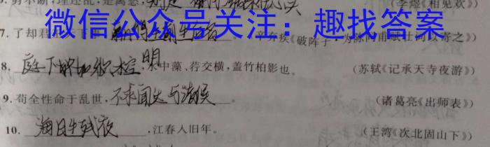 2023年普通高等学校招生全国统一考试猜题信息卷(新高考)(一)语文