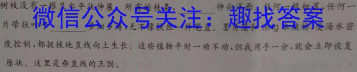 2023年陕西省初中学业水平考试·中考信息卷语文