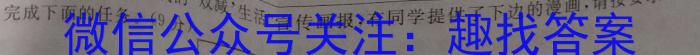 2023年安徽省初中学业水平考试冲刺试卷（一）语文