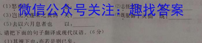 2023届全国普通高等学校招生统一考试JY高三终极一考卷(二)语文