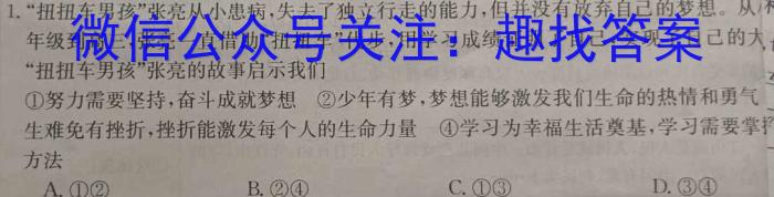 2025届湖南大联考高一年级4月联考（005A·HUN）q地理