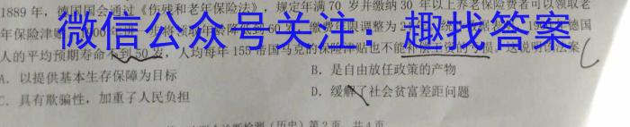 天一大联考·安徽卓越县中联盟 2024-2023学年(下)高二阶段性测试(期中)历史