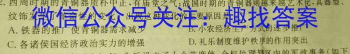 陕西省2023年九年级模拟检测卷历史