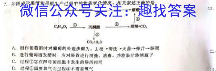 2023年普通高等学校招生全国统一考试信息模拟测试卷(新高考)(四)生物试卷答案