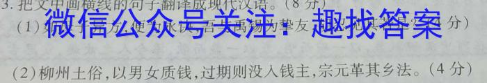 2023年普通高等学校招生全国统一考试适应性考试(5月)语文