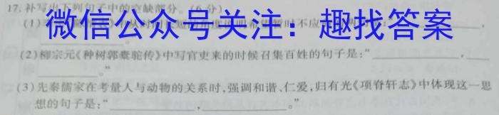 2023年陕西大联考高三年级5月联考（▶◀）语文