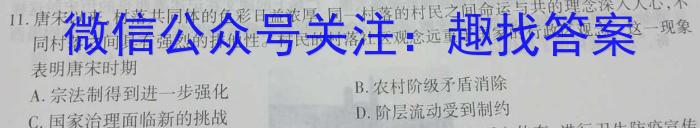 天一大联考 2022-2023学年高三考前模拟考试历史