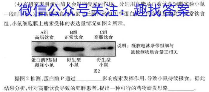 2023年河南六市高三年级4月联考生物