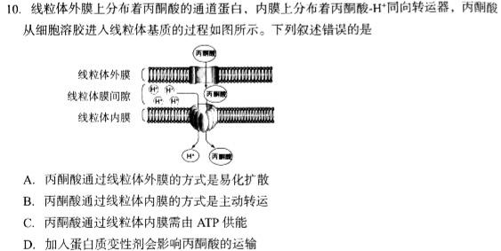 山东省2022-2023学年高一下学期（4月期中）质量监测联合调考（23-356A）生物