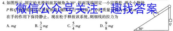 2023年普通高等学校招生全国统一考试·临门一卷(二)q物理
