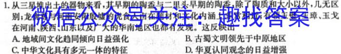 山西省2024-2023学年八年级第二学期期中教学质量监测历史