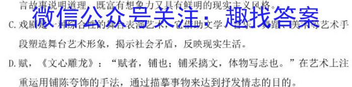 武昌区2023届高三5月质量检测语文