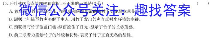 2023年广东省大湾区高三年级4月联考语文