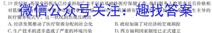安徽省2024-2023学年九年级第二次模拟考试历史