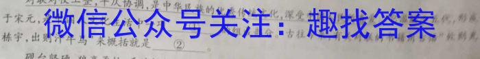 江淮名卷·2023年安徽中考模拟信息卷（六）语文