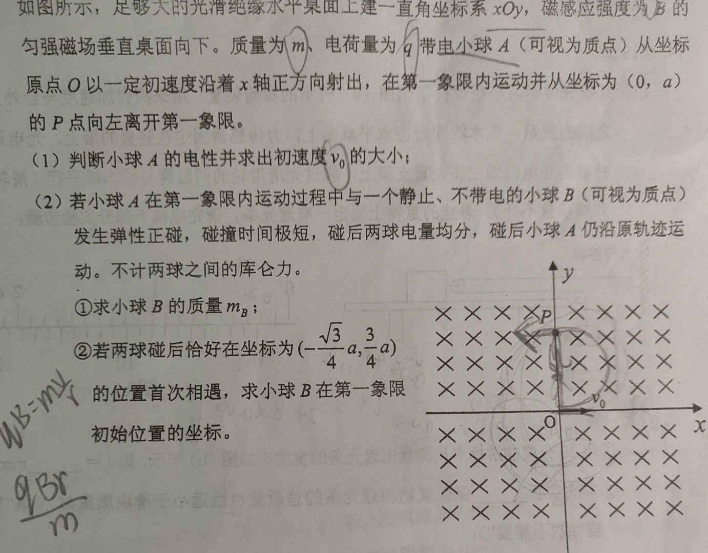 2023届普通高校招生全国统一考试·NT精准考点检测重组卷(全国卷)(一)-物理