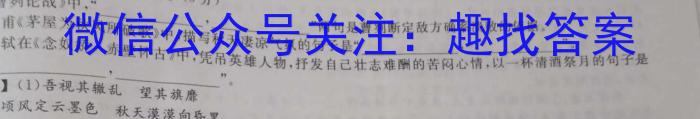 安徽省毫州市蒙城县2022-2023学年度九年级第二学期第三次模考语文