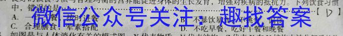 2022-2023学年山西省名校高一期中联合考试（23-414A）生物