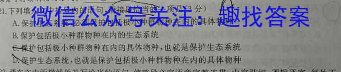 2023年普通高等学校招生全国统一考试猜题信息卷(新高考)(二)语文