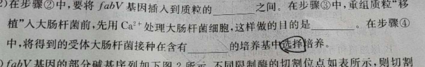 2023年普通高校招生考试冲刺压轴卷X(七)生物