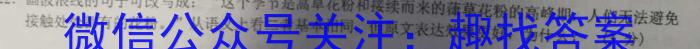 陕西省2023年第四次中考模拟考试练习语文