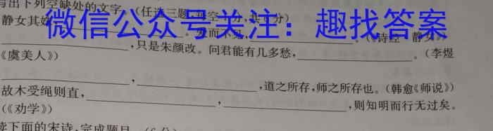 2023届衡水金卷先享题压轴卷(二)湖南专版语文