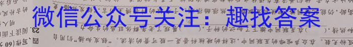 文博志鸿 2023年河北省初中毕业生升学文化课模拟考试(预测一)语文