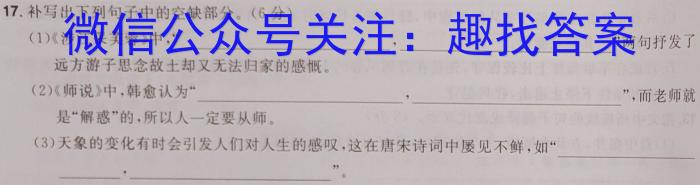 2023年普通高等学校招生全国统一考试猜题密卷(新高考)(三)语文