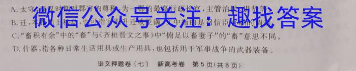 2023年4月湖湘教育三新探索协作体高二期中联考语文