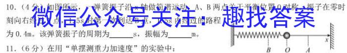 长郡、雅礼、一中、附中联合编审名校卷2023届高三月考试卷九(全国卷)q物理