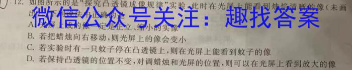 安徽省全椒县2023届九年级第二次模拟考试物理`