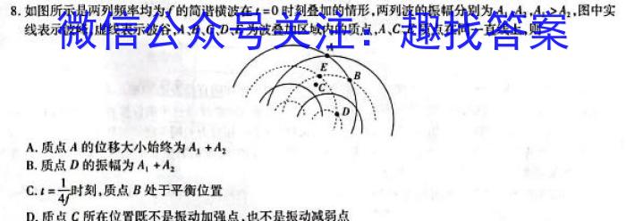 天一大联考·安徽卓越县中联盟 2022-2023学年(下)高二阶段性测试(期中)l物理