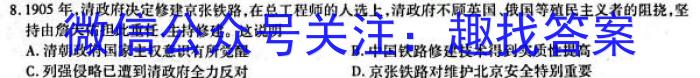 2023年湖南大联考高三年级5月联考（578C·HUN）历史