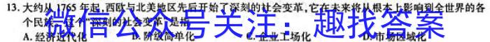 山西省2022-2023学年度八年级下学期期中综合评估（6LR）历史试卷