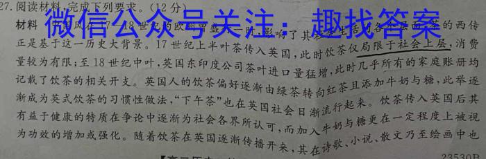 师大名师金卷2023年陕西省初中学业水平考试（八）历史
