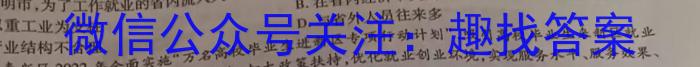 2023年陕西省九年级临考冲刺卷（A）政治~