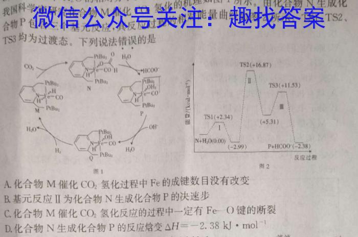 巴蜀中学2023届高考适应性月考卷(九)化学