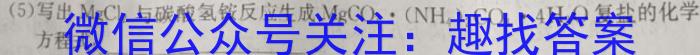 陕西省2023年九年级教学质量检测（正方形套黑色菱形）化学