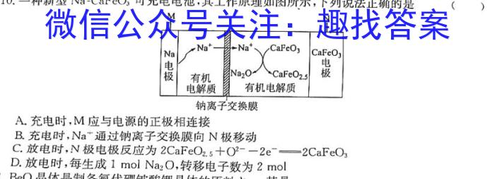 NT2023届普通高等学校招生全国统一考试模拟试卷(二)(新高考)化学