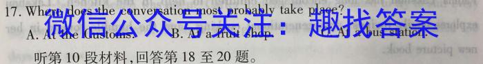 安徽省2023届九年级考前适应性评估（三）（8LR）英语