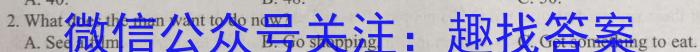 ［益卷］2023年陕西省初中学业水平考试冲刺卷（D版）英语试题