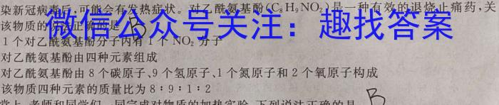 2023届安徽省中考规范总复习(九)化学