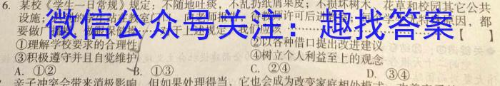 2023届普通高校招生全国统一考试·NT精准考点检测重组卷(全国卷)(二)地理.