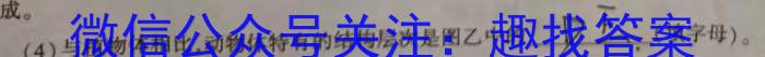 新时代NT名校联合体2024-2023学年高二第二学期期中考试生物