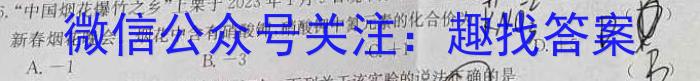 2023年安徽省中考信息押题卷(一)化学