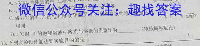 2023年安徽省中考冲刺卷（一）化学